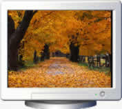 Download Beautiful Sceneries Volume 1