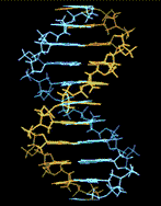 Ni crean que se ve as� en el microscopio...