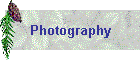 Photography
