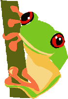 my croaky frog