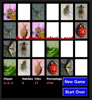 Concentration - A memory game!