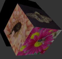 Spinning Photo Cube