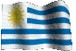 Uruguayan Clubs/National Team