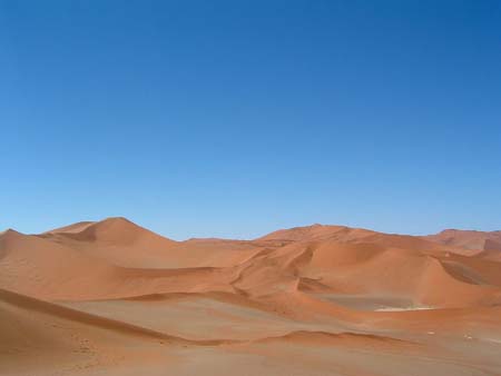 Namib039
