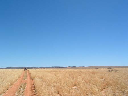 Namib059