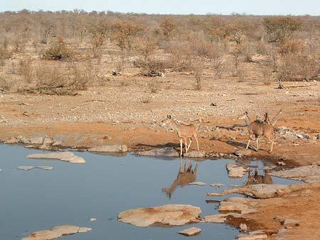 Namib109