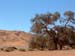 Sossusvlei