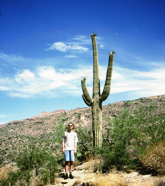 Cactus