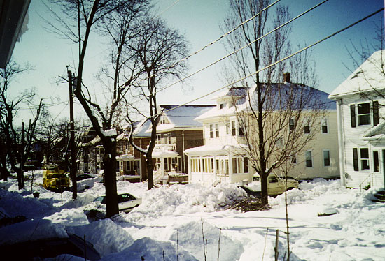 Winter