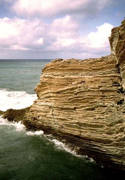 Zumaya