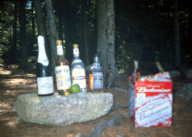 The bar
