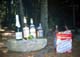 The bar