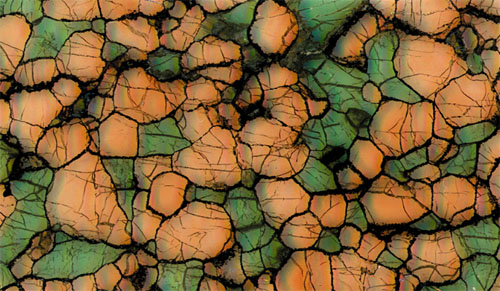 eclogite KEC 81-5