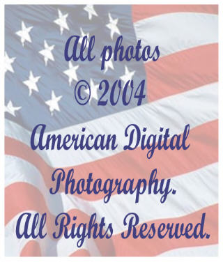 American Digital Photo