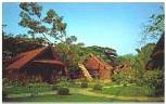 A typical view of a Malaysian kampung (village)