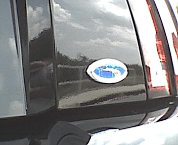 steeda emblem