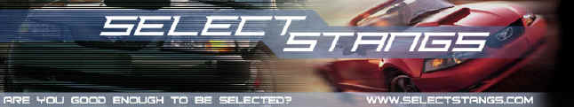 SelectStangs