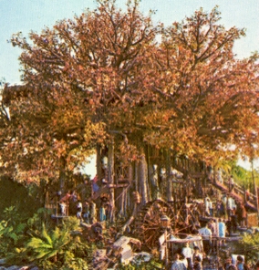 Swiss Family Treehouse