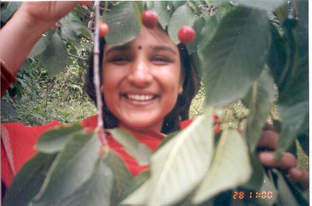 Cherries