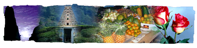 Ooty Festivals