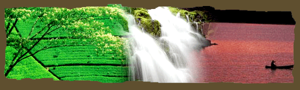 Ooty - Hills Queen for South India