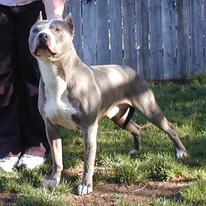 Blue, January 2000