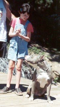 Tai and Blue enjoying the day at Donner Lake,&nbsp; July 28, 2001