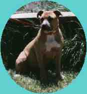 Essy, June 1999