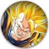 Dragonball-Z-M13