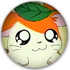 Hamtaro-2