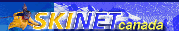 Logo SKINET