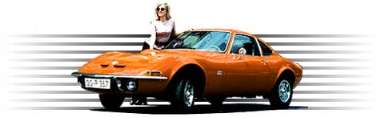Hood ornament