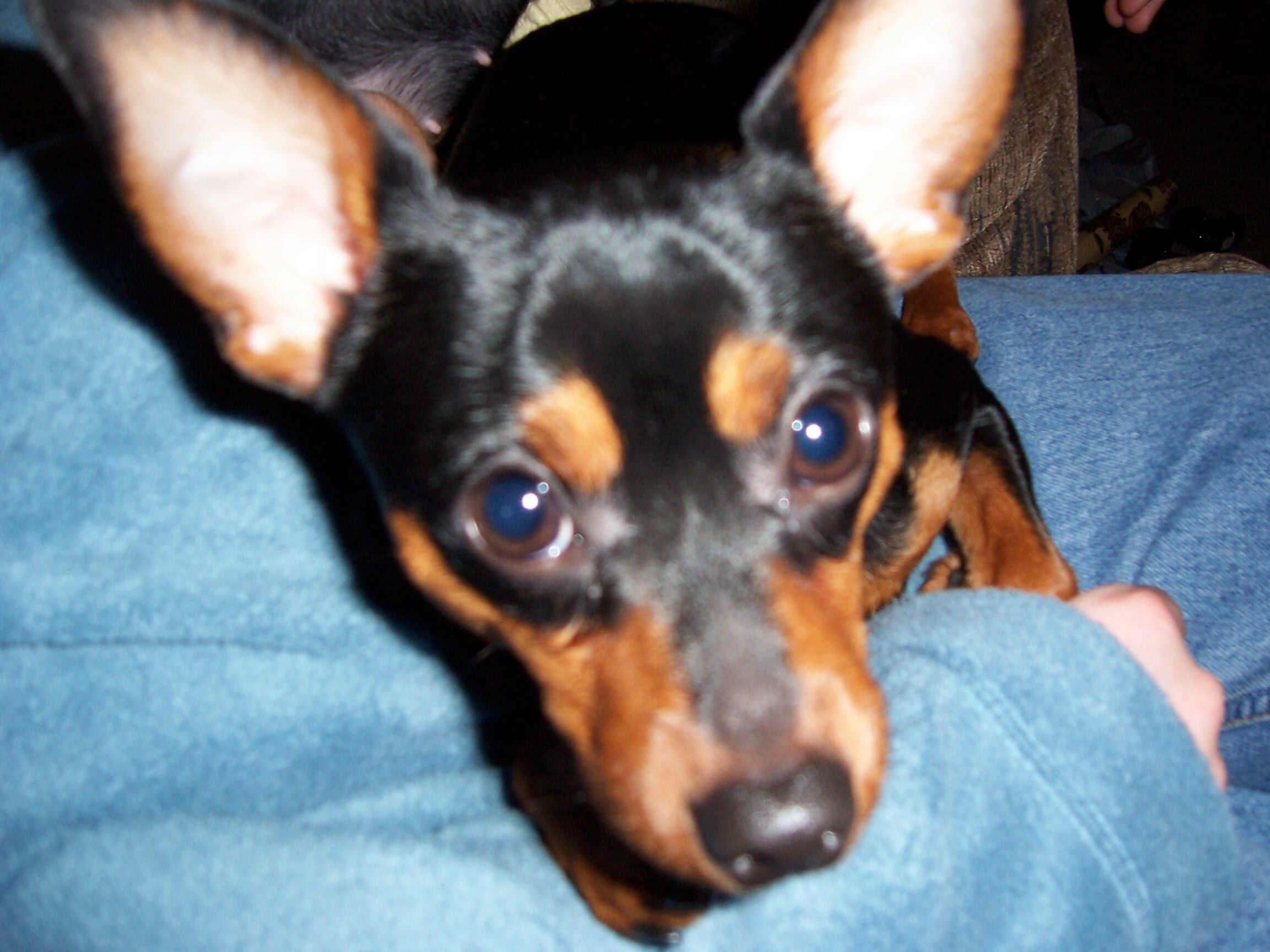 Look at these eyes!