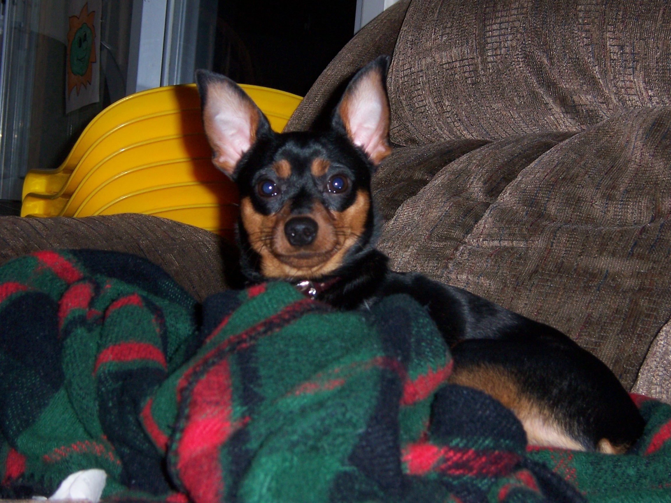 I'm so cute!