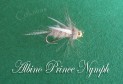 Albino Prince Nymph