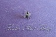 Fowler's Biot Midge