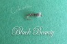 Black Beauty