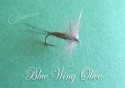 Blue Wing Olive