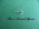 Barr's Drowned Spinner