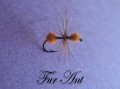 Fur Ant