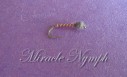 Miracle Nymph
