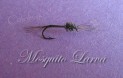 Mosquito Larva