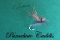 Parachute Caddis