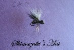 Shimazaki's Ant