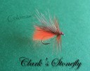 Clark's Stonefly