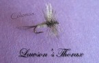 Thorax
