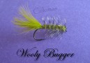Wooly Bugger