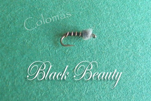 Black Beauty