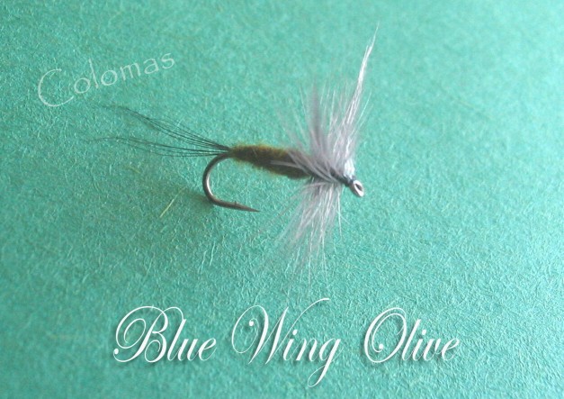 Blue Wing Olive
