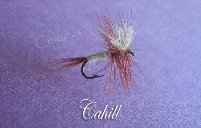 Cahill